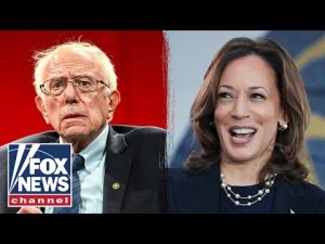 Read more about the article GOP senator issues warning about Kamala Harris: ‘More liberal than Bernie Sanders’