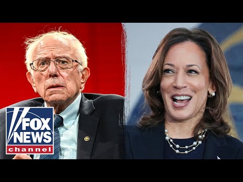 You are currently viewing GOP senator issues warning about Kamala Harris: ‘More liberal than Bernie Sanders’