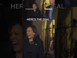 Read more about the article Vice President Kamala Harris and Tim Walz conducted an interview… with themselves