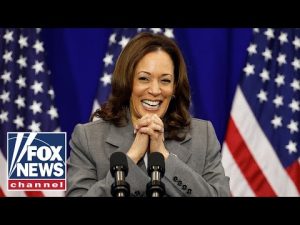 Read more about the article Kamala Harris yet to do an interview since Biden dropped out of 2024 race