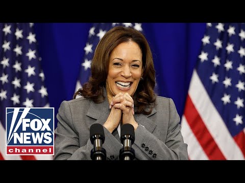 You are currently viewing Kamala Harris yet to do an interview since Biden dropped out of 2024 race