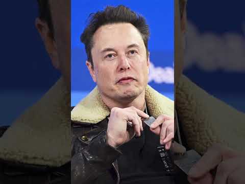 Read more about the article This is why they hate Elon Musk