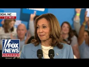 Read more about the article Kamala Harris unveils economic plan: Together we will build an opportunity economy