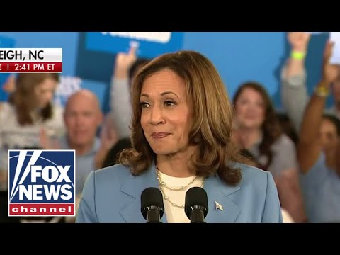 You are currently viewing Kamala Harris unveils economic plan: Together we will build an opportunity economy