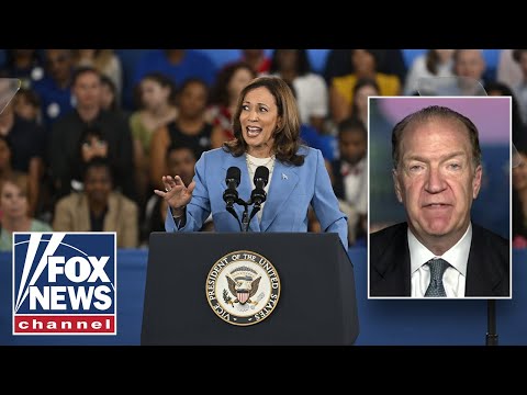 You are currently viewing ‘NOT GOOD FOR THE ECONOMY’: David Malpass reveals impact from Harris’ policy speech