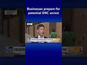 Read more about the article Chicago doesn’t have a ‘great track record’ protecting businesses, property: Business owner #shorts