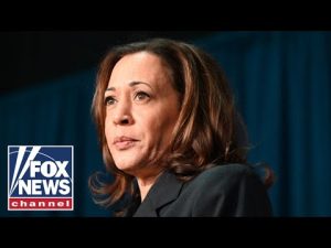 Read more about the article Will Kamala’s DNC close-up keep the momentum going?