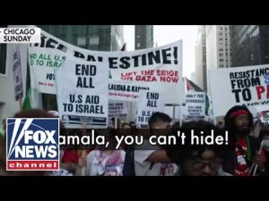 Read more about the article Protesters chant ‘Killer Kamala’ outside DNC