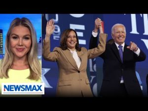 Read more about the article DNC opening night was like watching an ‘alternative reality’: Karoline Leavitt | Wake Up America