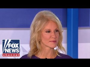 Read more about the article Kellyanne Conway: Vibes are NOT votes