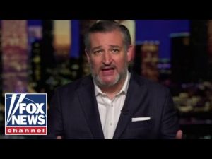 Read more about the article Sen. Ted Cruz: It’s a frightening thing we’re watching