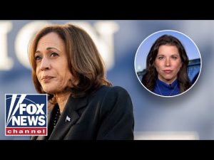 Read more about the article The media scrutinized over Kamala coverage: They’re being ‘lazy’