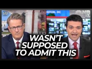 Read more about the article MSNBC Guest Accidentally Lets It Slip That Illegals Are Voting