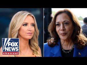 Read more about the article McEnany: This alone should disqualify Kamala!