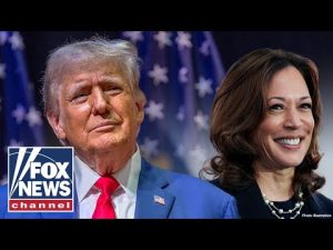 Read more about the article Kamala Harris talks but takes ‘no action’: Trump