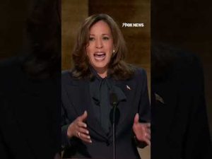 Read more about the article Kamala Harris affirmed her support for Israel and called for the Palestinian’s suffering to end