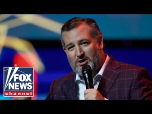 Read more about the article Ted Cruz: This is happening ‘every damn day’