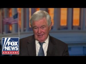 Read more about the article Newt Gingrich: Kamala’s economic plan is ‘crazy’