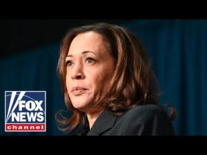 Read more about the article ‘TELL THE TRUTH’: GOP rep challenges Kamala Harris