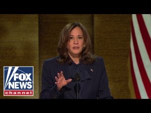 Read more about the article Kamala Harris on Israel, Gaza: ‘The scale of suffering is heartbreaking’