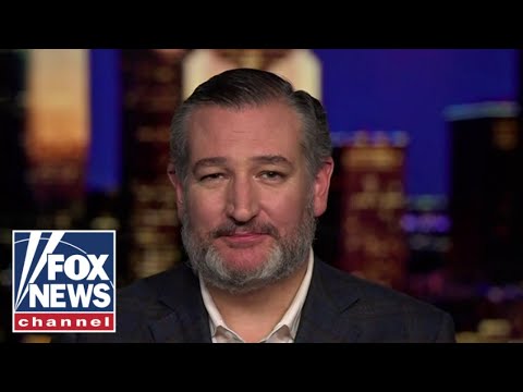 You are currently viewing Day 1 for Kamala Harris was 4 years ago: Sen. Ted Cruz