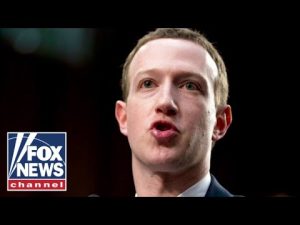 Read more about the article Zuckerberg’s admission is a ‘victory’ for free speech: Lee