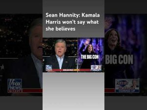 Read more about the article Sean Hannity: ‘The freedom and joy party wants to take away your money’ #shorts