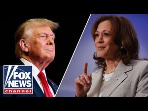 Read more about the article New polling shows voters trust Trump over Harris on key 2024 issue