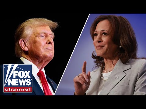 You are currently viewing New polling shows voters trust Trump over Harris on key 2024 issue