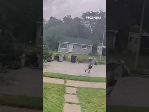 You are currently viewing Watch the dramatic moment a massive tree collapses, narrowly missing a man riding a bike