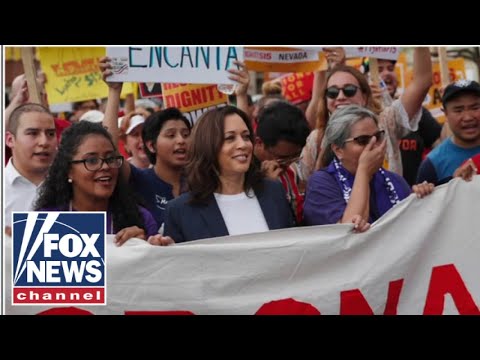 You are currently viewing FRIES WITH THAT?: Kamala Harris’ McD’s story raises questions