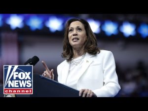 Read more about the article Kamala Harris flounders when trying to explain day-one agenda