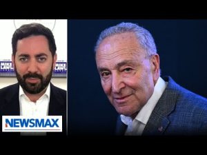 Read more about the article Chuck Schumer is a ‘disgrace’ for stalling anti-Semitism bill: Rep. Mike Lawler | America Right Now