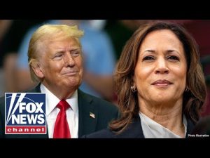 Read more about the article If a recession hits, it will help Trump, hurt Kamala: Democratic pollster