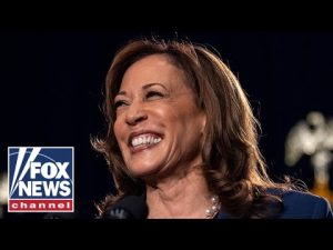 Read more about the article How long will Kamala Harris be in the ‘honeymoon period’?