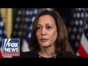 Read more about the article Where’s Kamala? VP criticized for silence as markets tank