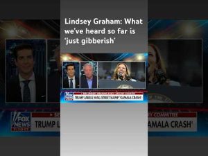 Read more about the article Lindsey Graham: Kamala Harris ‘doesn’t know what the hell she’s doing’ #shorts