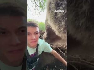 Read more about the article Man records the unbelievable moment he comes face-to-face with a massive bear inside its own den