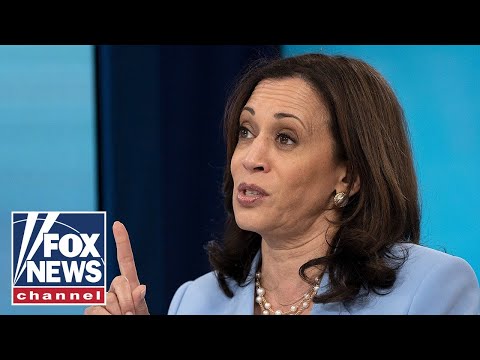 Read more about the article Kamala Harris is a ‘weak’ candidate: Stacy Washington