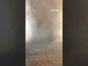 Read more about the article Massive ‘smokenado’ erupts and whips around an Alabama cornfield that was scorched by fire