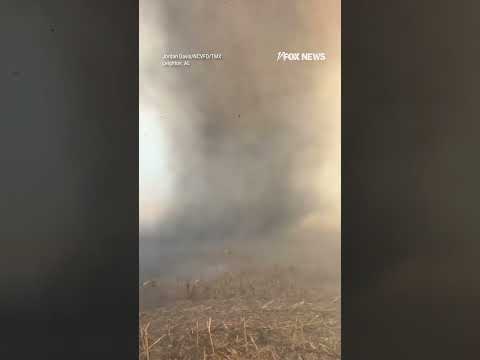 You are currently viewing Massive ‘smokenado’ erupts and whips around an Alabama cornfield that was scorched by fire