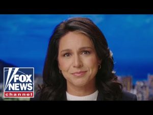 Read more about the article Tulsi Gabbard: Democrats don’t want voters to know this