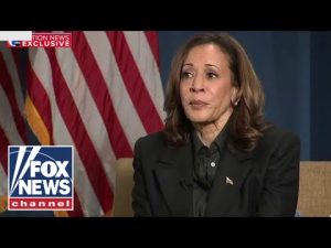 Read more about the article Harris mocked for repeating same answer: ‘This is not a plan!’