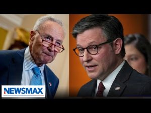 Read more about the article It would be ‘Schumer shutdown’ if SAVE Act isn’t passed: Mark Alford | The Chris Salcedo Show