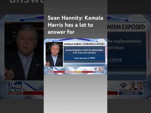 Read more about the article Sean Hannity: Kamala Harris has gotten a free pass from the ‘media mob’  #shorts