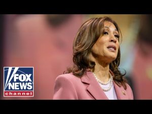 Read more about the article WATCH LIVE: Kamala Harris holds rally in Madison, Wis.