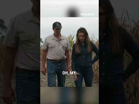 You are currently viewing Pennsylvania farmer shares the struggle with rising costs under the Biden-Harris administration