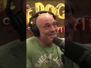 Read more about the article Even @joerogan loved “Am I Racist?”