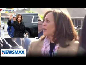 Read more about the article Kamala Harris is doing a ‘check-the-box’ exercise by going to border | American Agenda