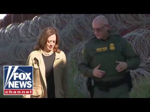 Read more about the article ‘DESPICABLE’: Kari Lake shreds Kamala Harris’ lackluster border visit